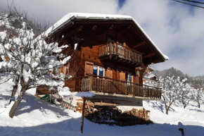 Savoyard nest with Mont Blanc view